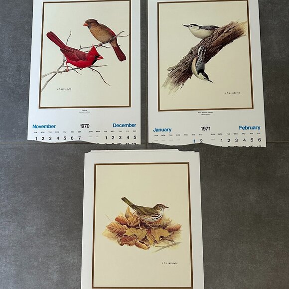 Vintage 1971 & 1972 Calendar Prints J.F. Lansdowne Birds - Picture 10 of 10
